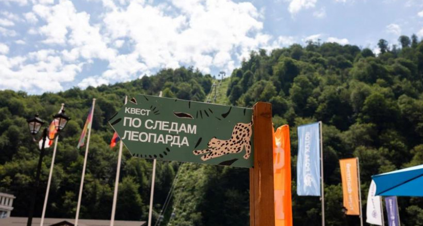 Тверичанам на заметку: 15 июля в Сочи грандиозно отметят День леопарда