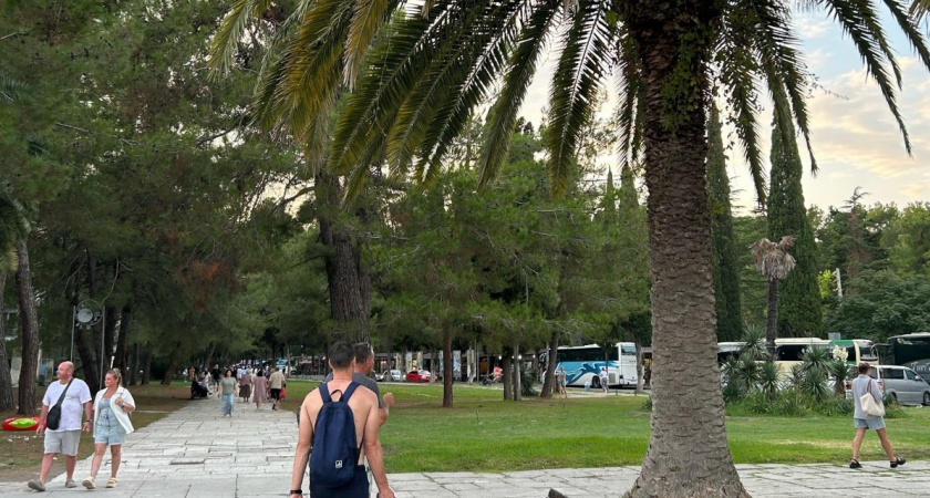 "Ходить по лошадиному навозу, нюхать кур, гладить свору собак": россияне съездили в Абхазию и ахнули - отзыв