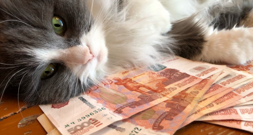 15 000 "снимут" за дверь в квартире - очередное жесткое правило коснется всех россиян