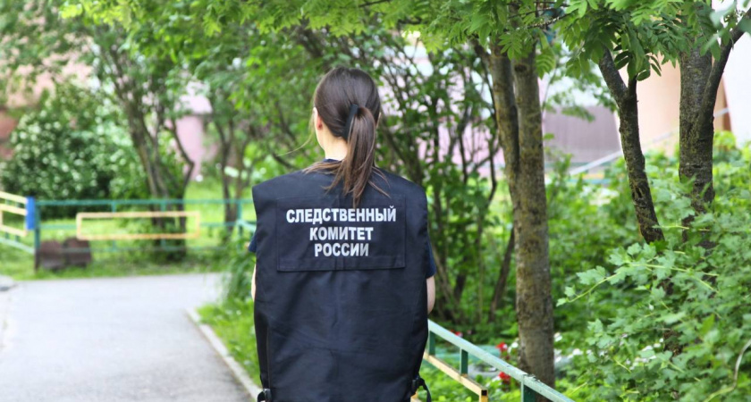 В Тверской области ребенок выпал из окна и получил серьезные травмы