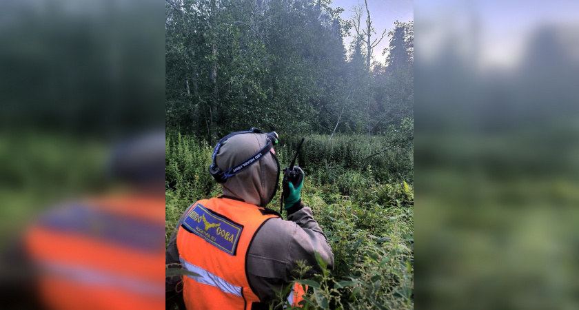 122 человека найдены живыми: 138 человек пропали в Тверской области за июль