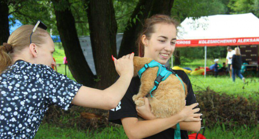 Кот-манчкин триумфально выиграл собачий забег в Твери