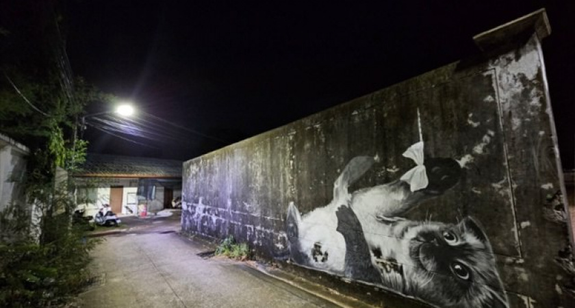 Уникальный стиль тверской художницы Кати ХБ покорил Пхукет