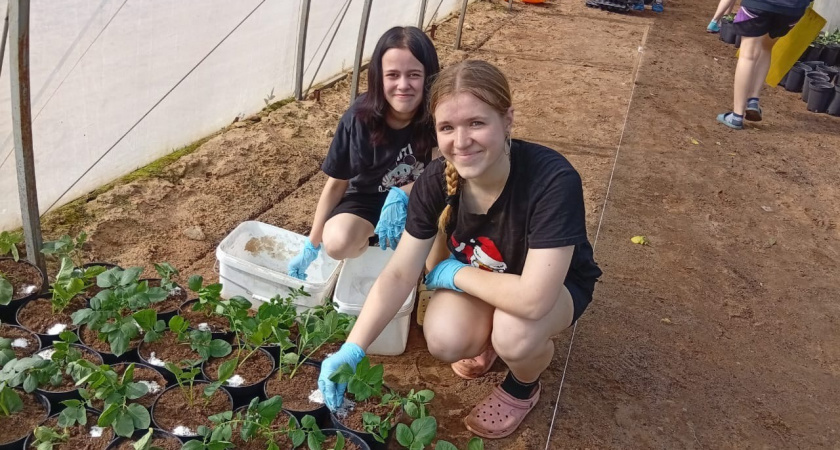 Каждый третий тверской школьник вышел на работу этим летом