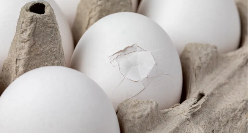 Треснуло яйцо — есть или выкинуть: правила безопасности, о которых нужно знать всем