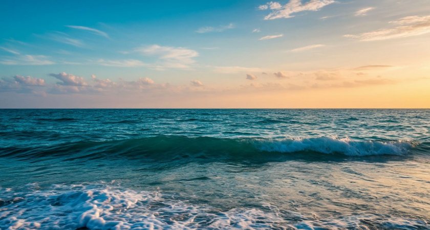 Поголовно возвращаются: туристы бегут с курорта - бактерии в воде вызывают холеру