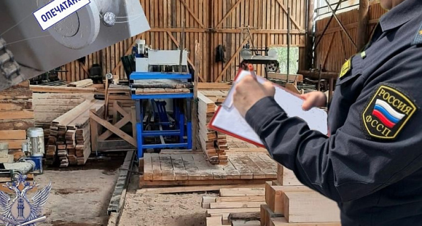 В Тверской области судебные приставы остановили работу двух пилорам на 14 дней
