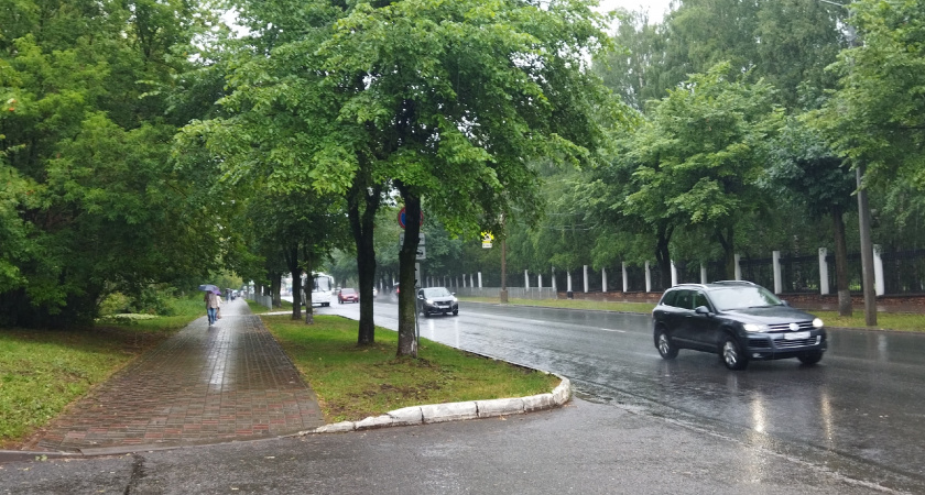 Дожди и грозы сохранятся в Тверской области до 14 августа