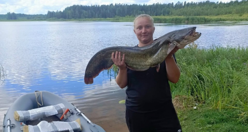 Жительница Вышнего Волочка добыла гигантскую рыбу в местном водоеме