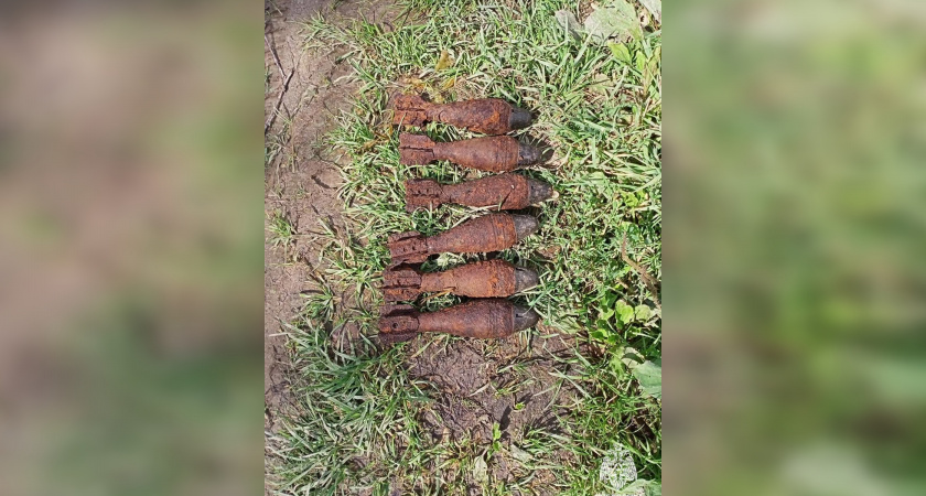 Опасная находка под Тверью: саперы уничтожили шесть мин военных лет