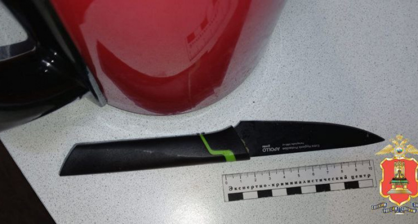 Ревность и алкоголь привели к смертельному конфликту супругов в Тверской области