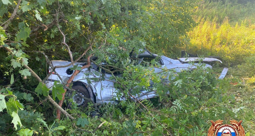 В Тверской области дети попали в ДТП: за рулем был 13-летний мальчик