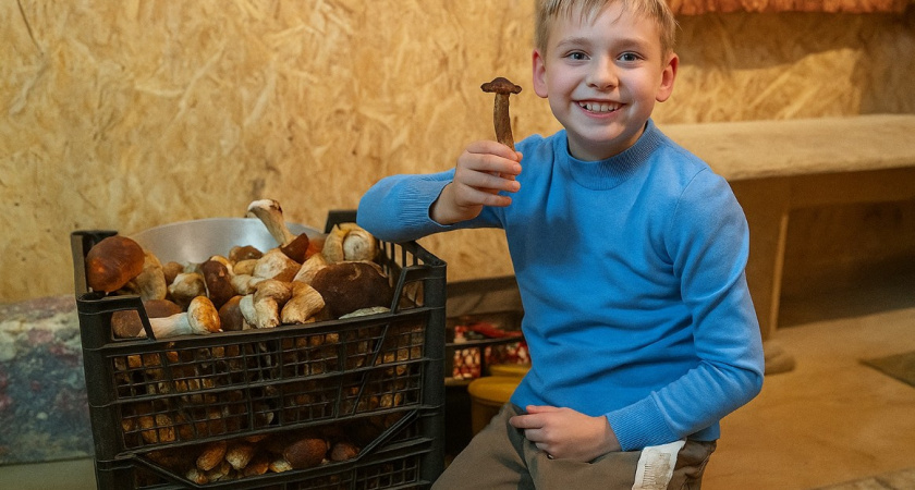 Секреты успешной "тихой охоты": как находить грибы в любом лесу  