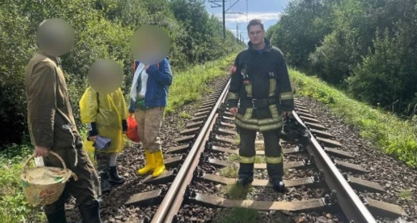 В лесах Конаковского округа спасатели искали грибников