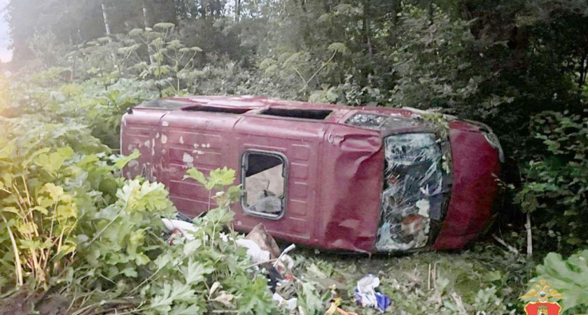 Инспекторы ДПС в Кимрах спасли многодетную семью после столкновения с лосем