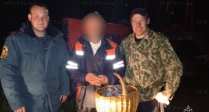 Шестерых грибников вывели из леса в Зубцовском районе