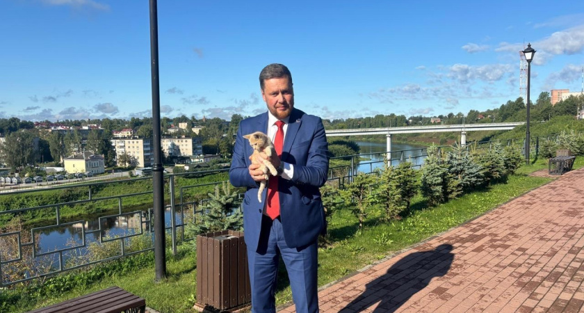 «Котейка обрел дом»: глава Ржевского округа спас бездомного котенка