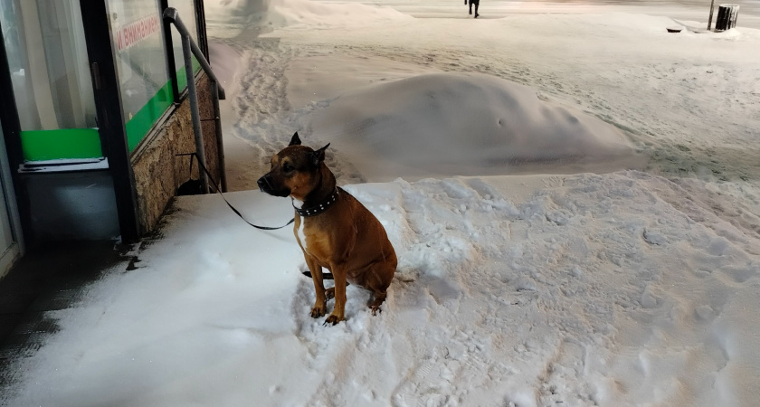 Морозы или слякоть? какой будет зимняя погода в разных регионах России