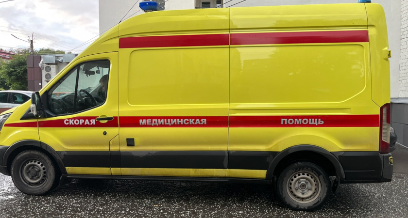 В Тверской области женщина попала в больницу после ДТП с участием дикого животного