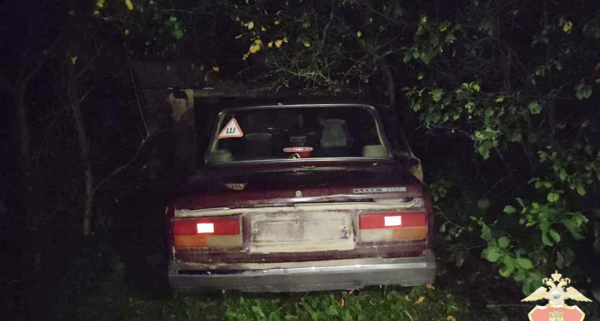 Пьяный житель тверской деревни разобрал чужой автомобиль на детали