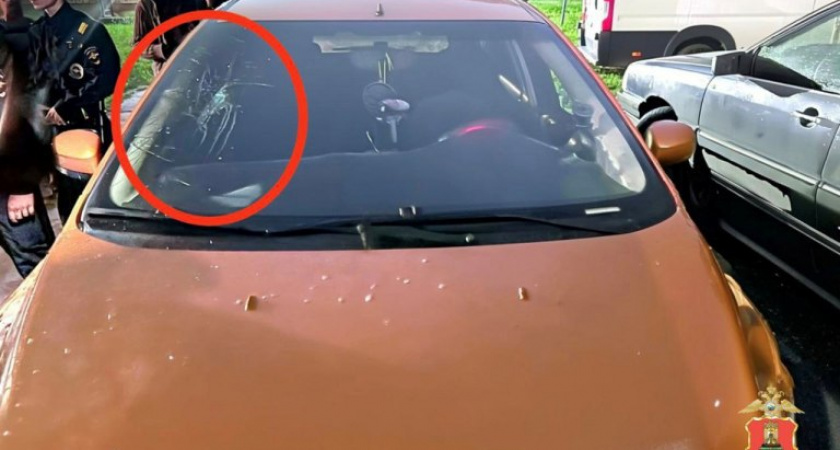 Жительница тверского города Нелидово повредила автомобиль соседки ударом кулака