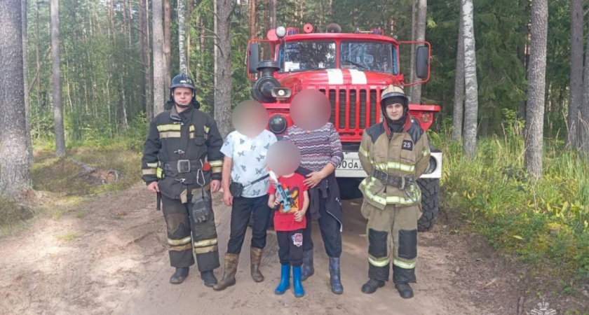 Девять грибников спасли за сутки в лесах Тверской области