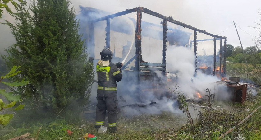 В страшном пожаре в Тверской области погиб четырехлетний ребенок