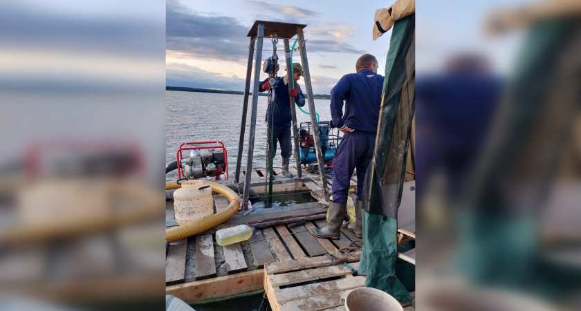 Спустя 84 года: в Тверской области опознали летчика, сбитого в 1941 году