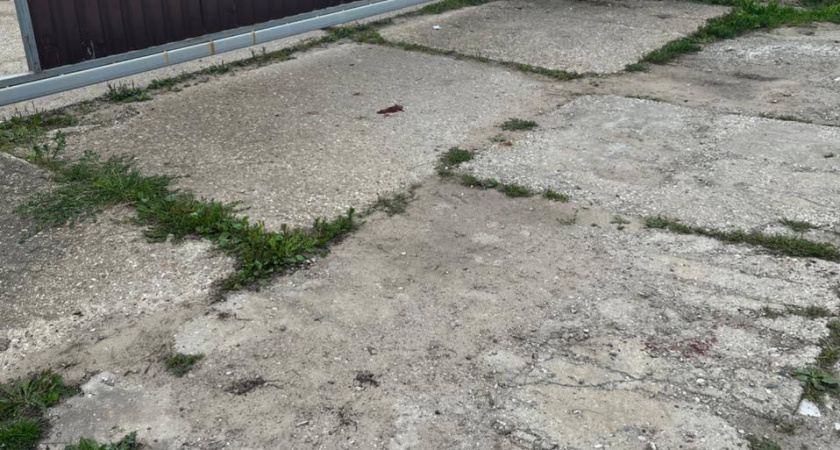 Задавили с пьяных глаз: прокуратура раскрыла страшные подробности гибели 2-летнего мальчика