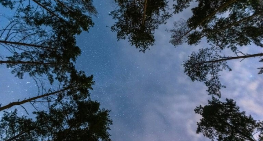 Уникальные кадры звездопада сделаны в Тверской области