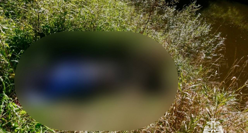 Мужчина утонул в тверской реке Межа при поездке на дачный участок