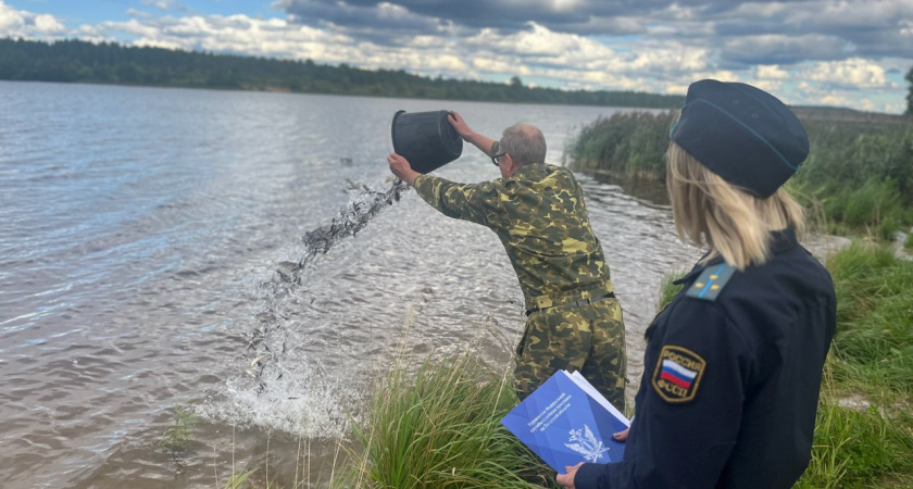 Эко-должник из Твери компенсировал ущерб природе выпуском трех тысяч мальков сазана в Волгу