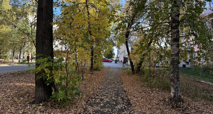 Ясная и теплая погода пришла в Тверской регион