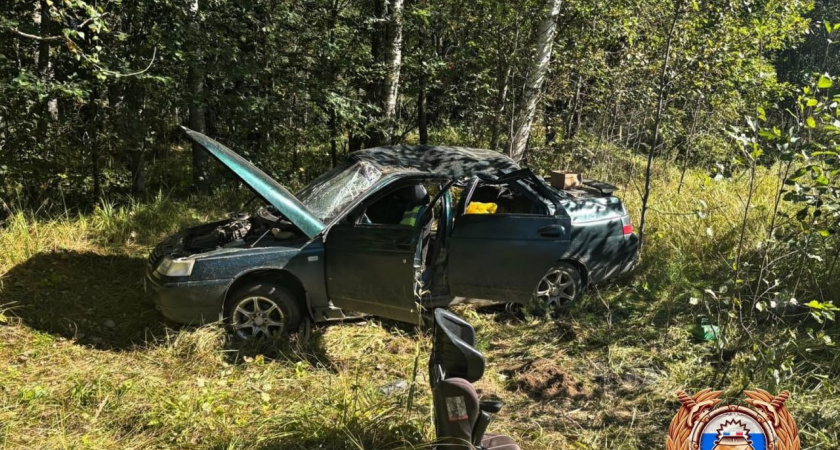 Пятеро детей пострадали в ДТП с пьяным водителем в Тверской области