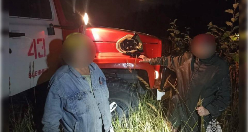 Двух пошедших за грибами тверичанок вывели из леса в Оленинском районе