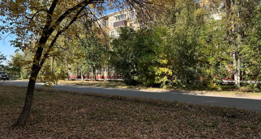 Ясная погода без осадков сохранится в Тверской области