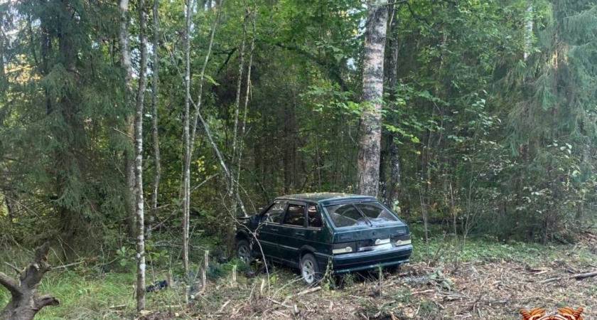 В Тверской области водитель «Жигулей» погиб в ДТП после съезда в кювет