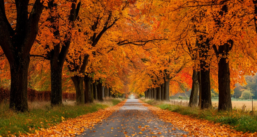 Скоро наступит настоящая осень: синоптик Тишковец рассказал, когда готовиться 