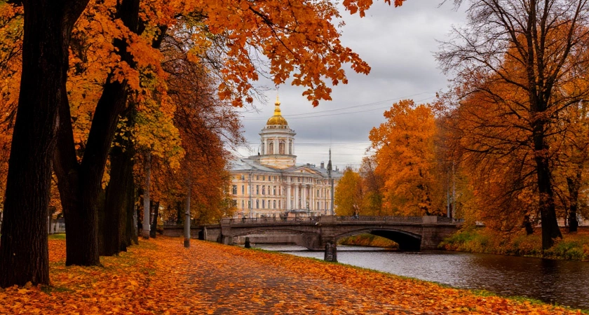 Сентябрьские морозы установили новые рекорды в Тверской области