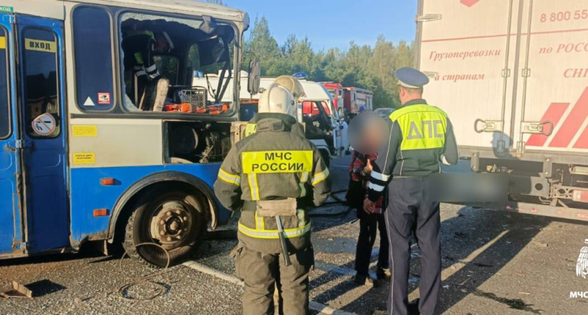 Автобус с дачниками столкнулся с грузовиком на трассе М-9: пострадали восемь человек
