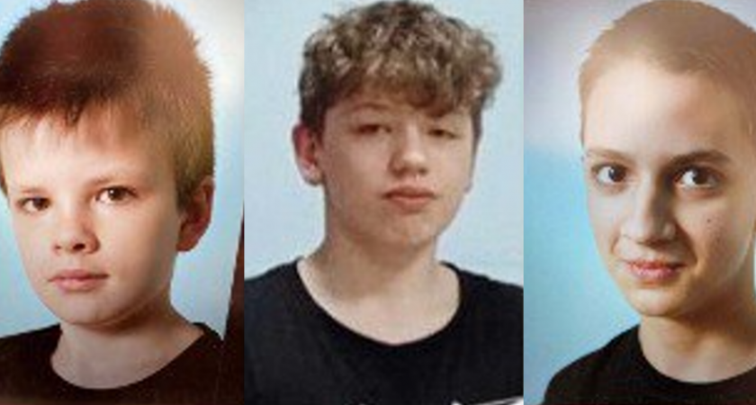 Три подростка бесследно пропали в деревне Некрасово под Тверью