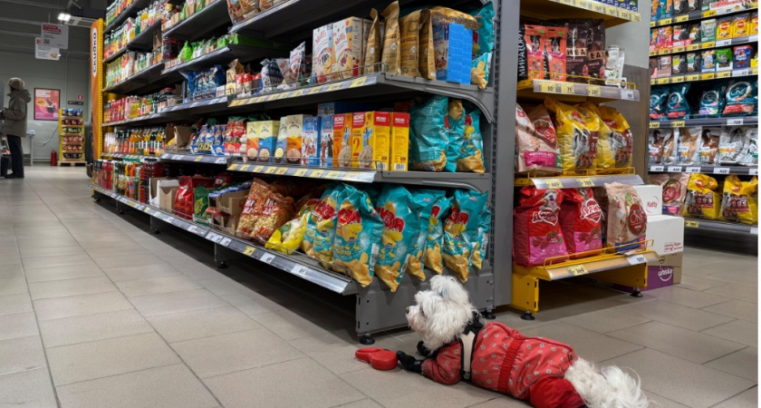 Куда исчезли ящики для сумок из магазинов - директор одного из них раскрыла секрет