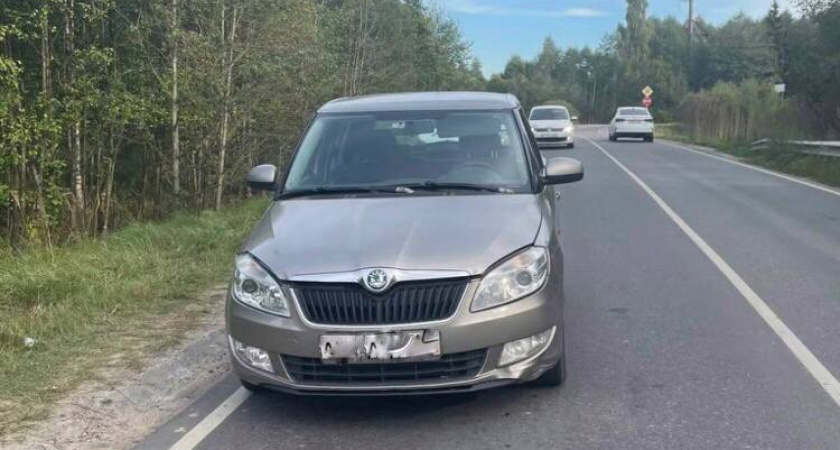 Водитель Skoda Fabia совершил наезд на 85-летнего пешехода в Тверской области