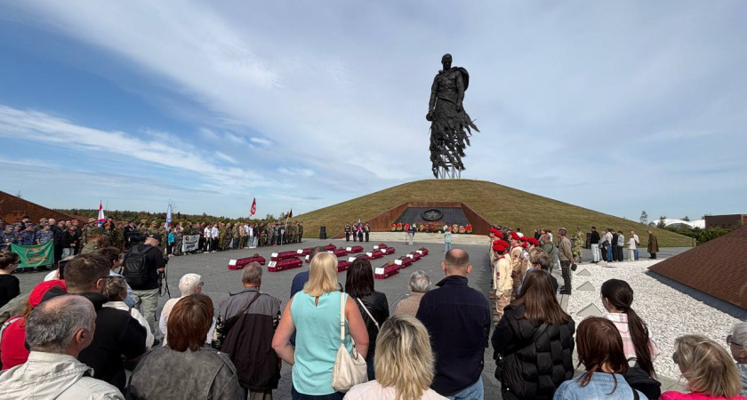 Итоги «Вахты Памяти» под Ржевом: найдены останки 264 красноармейцев