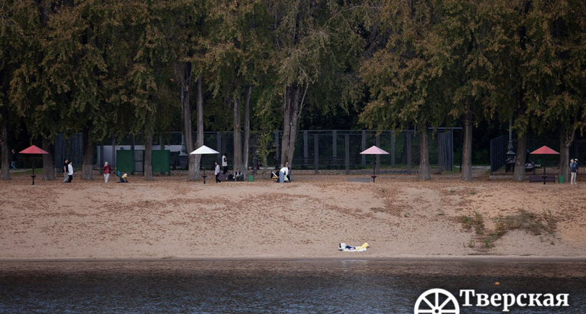 От «розовых грибов» — к нормальным: в Твери обновили пляжные зонтики