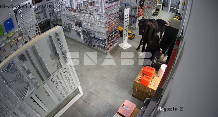 За крепежом — приехал верхом: необычная пара стала звездами дня в тверском магазине