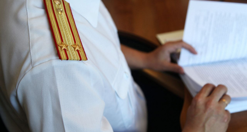 В Тверской области проводится проверка по факту нападения собаки на ребенка