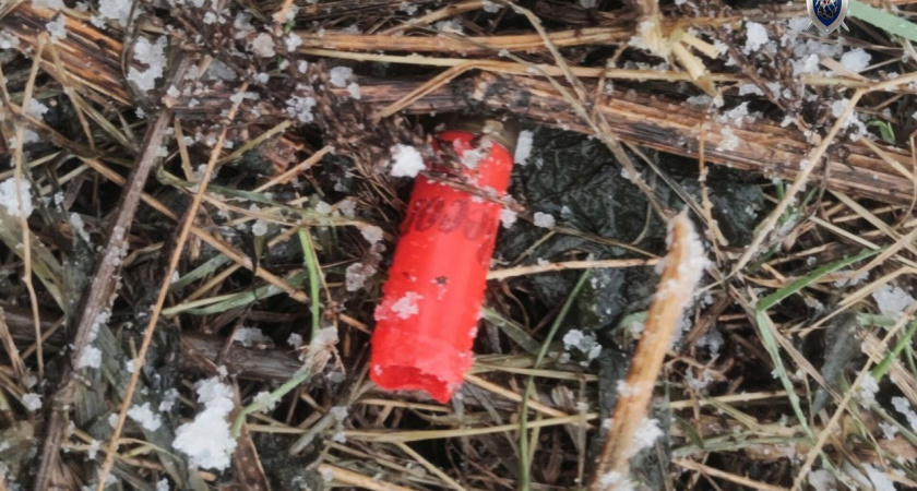 Убийство в лесу под Тверью: следствие установило виновного с помощью гильзы