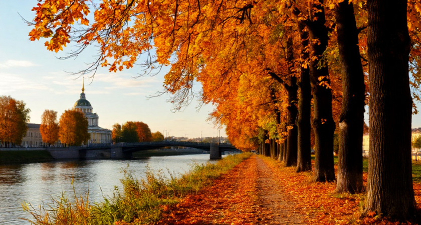 Последнее тепло бабьего лета придет в Тверь в понедельник