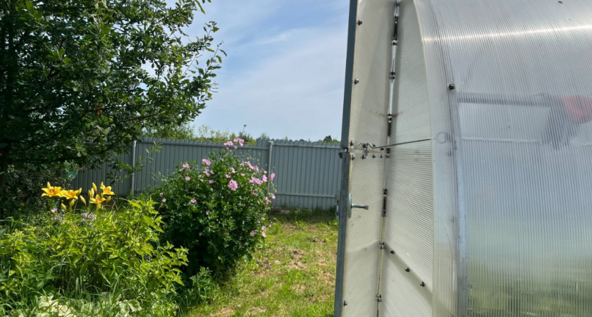 Расстелила мульчу осенью - и бед не знаю: грибка и плесени в теплице нет даже весной - полное спасение дачи